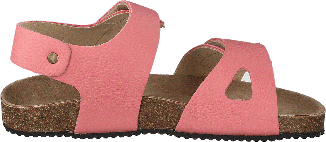 Boomhouse Ep Strawberry Rose