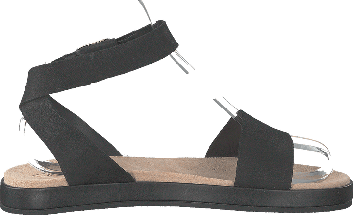 Botanic Ivy Cuero Negro