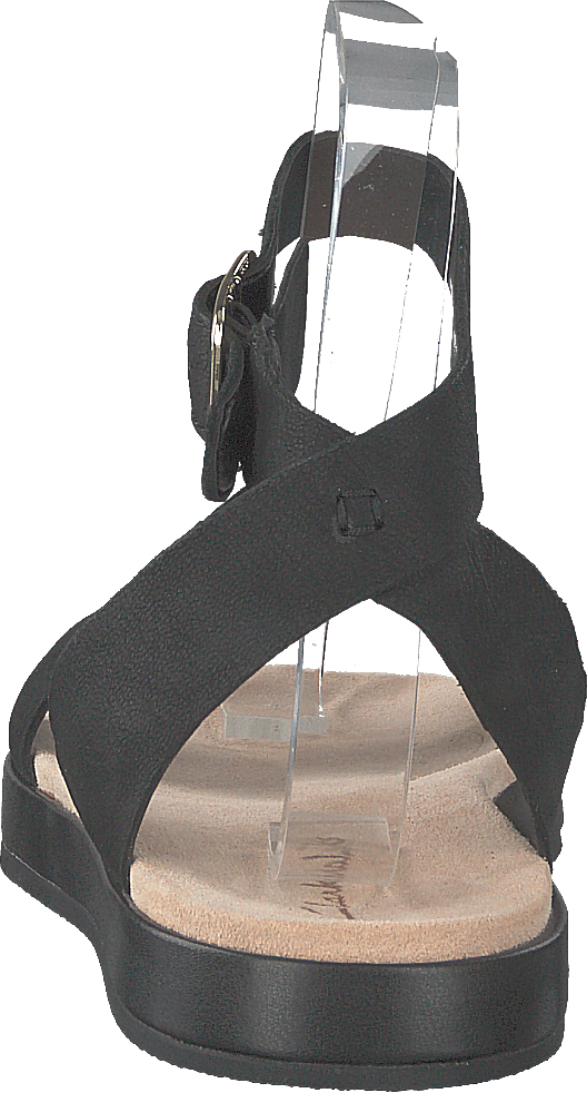 Botanic Ivy Cuero Negro