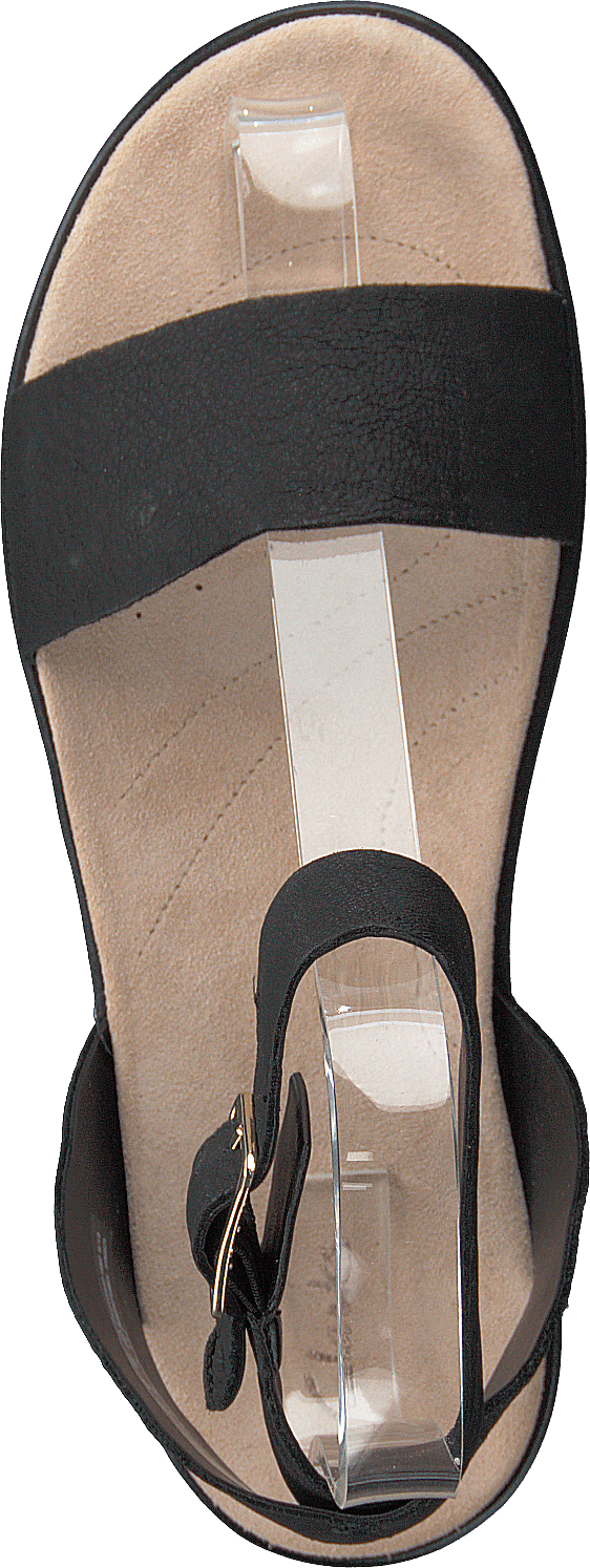 Botanic Ivy Cuero Negro