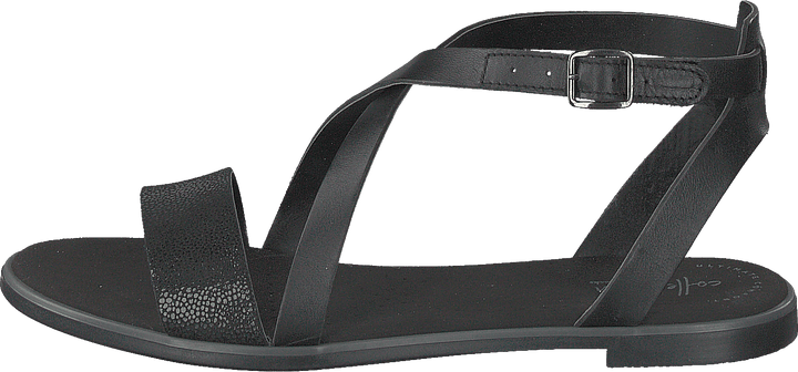 Bay Rose Black Interest