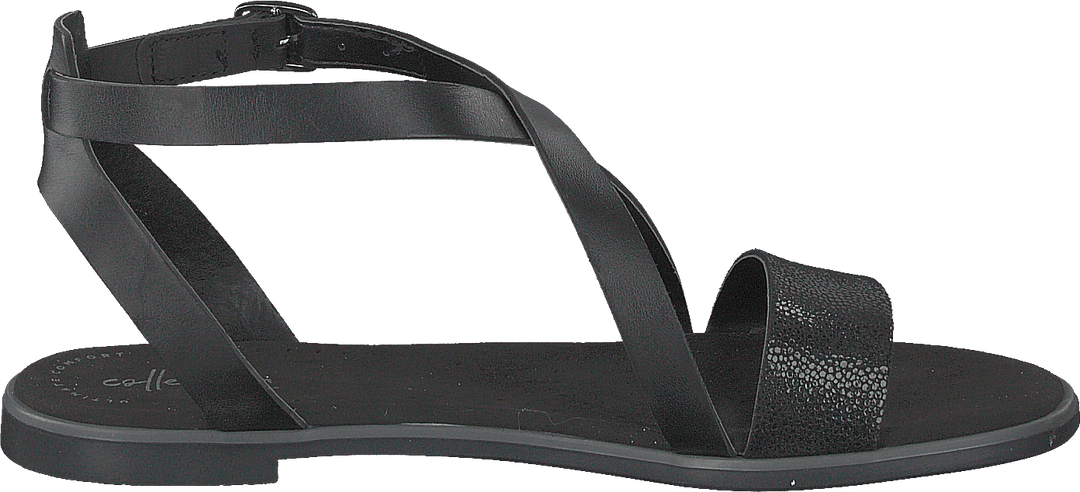 Bay Rose Black Interest