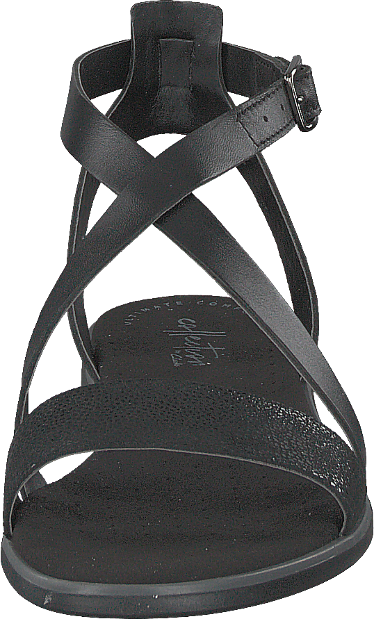 Bay Rose Black Interest