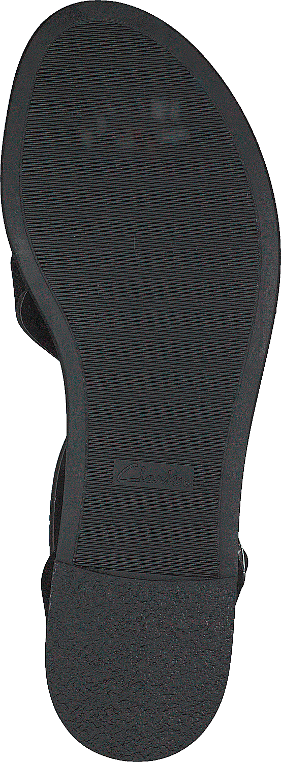 Bay Rose Black Interest