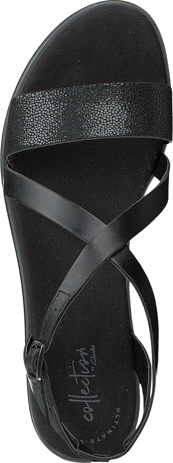 Bay Rose Black Interest