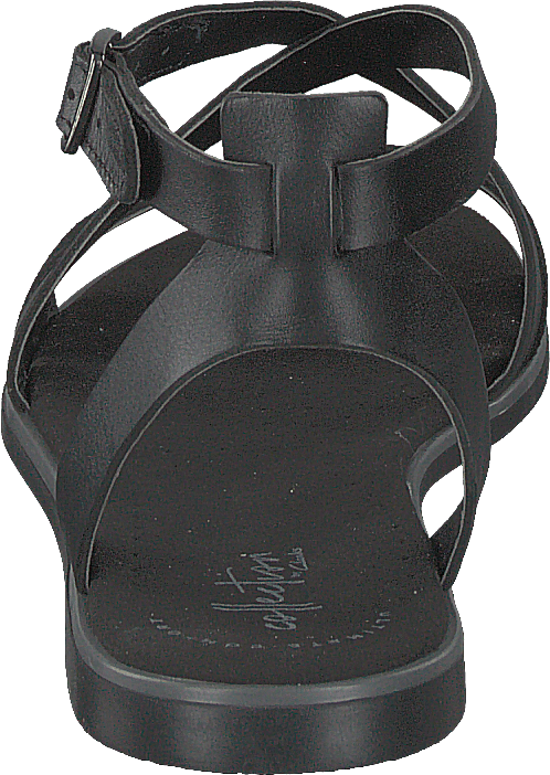 Bay Rose Black Interest