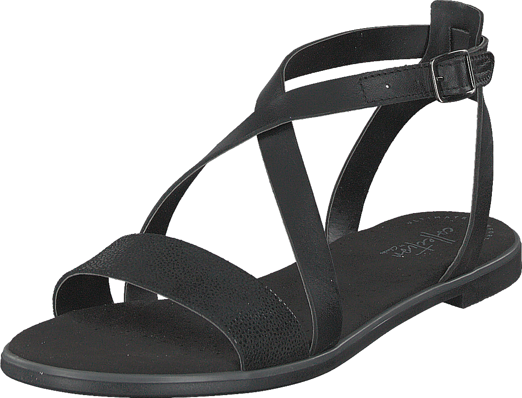 Bay Rose Black Interest