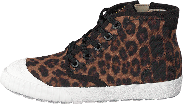 Cyrus Geo K Brown Cocmbi