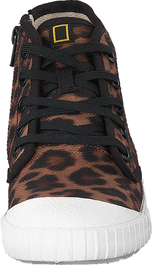 Cyrus Geo K Brown Cocmbi