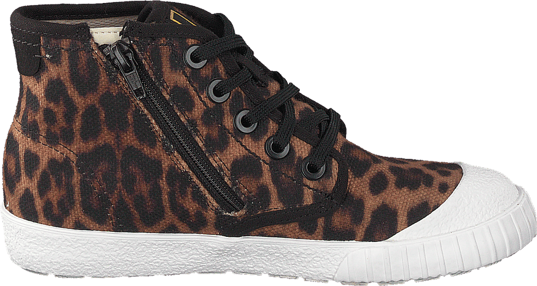 Cyrus Geo K Brown Cocmbi