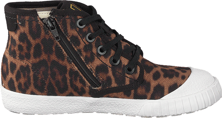 Cyrus Geo K Brown Cocmbi