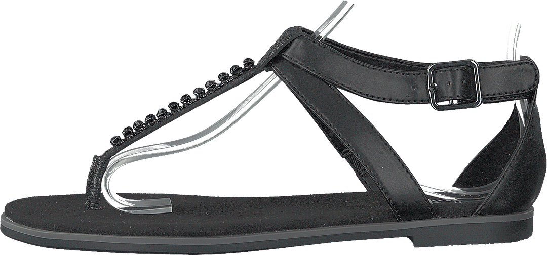 Intérêt pour le pavot noir