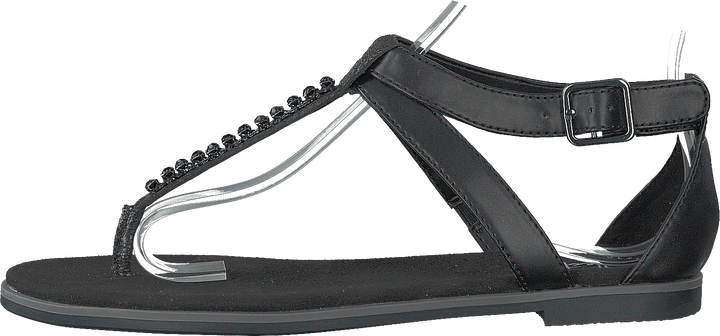 Intérêt pour le pavot noir