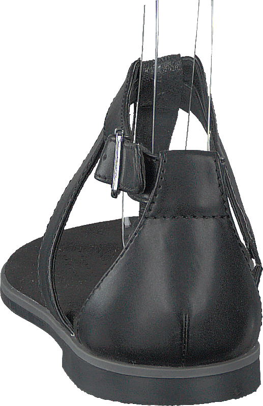 Intérêt pour le pavot noir