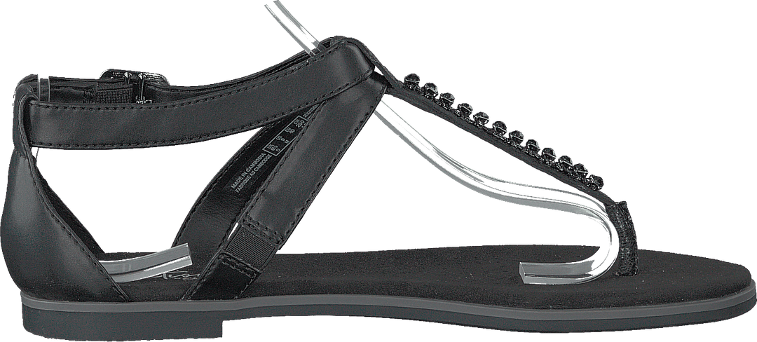 Intérêt pour le pavot noir