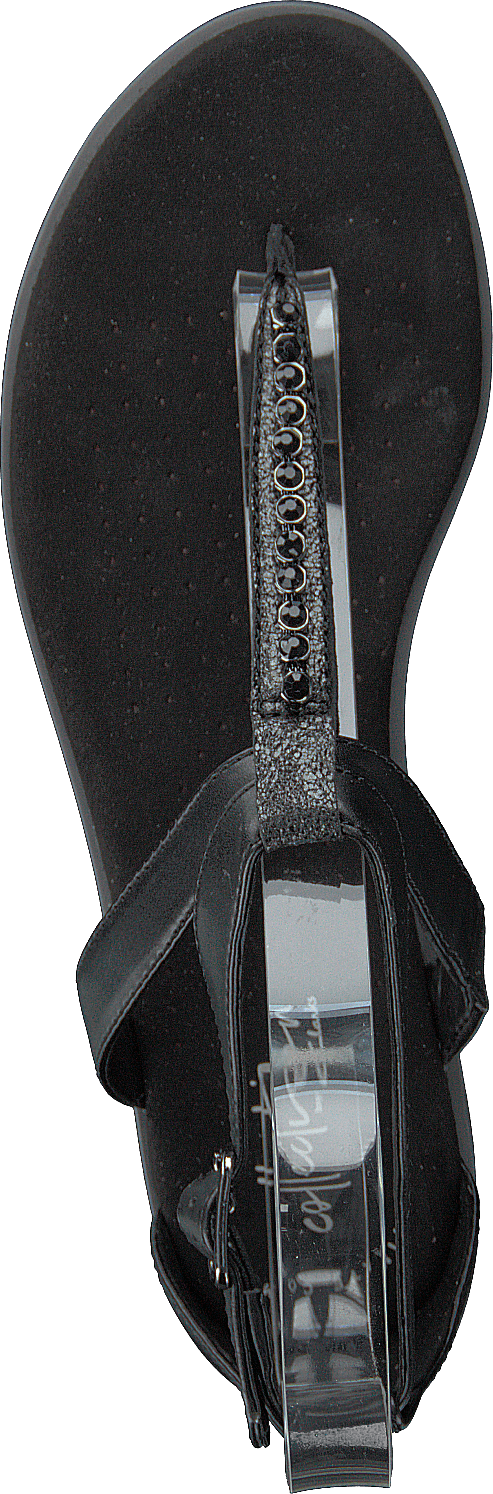 Intérêt pour le pavot noir