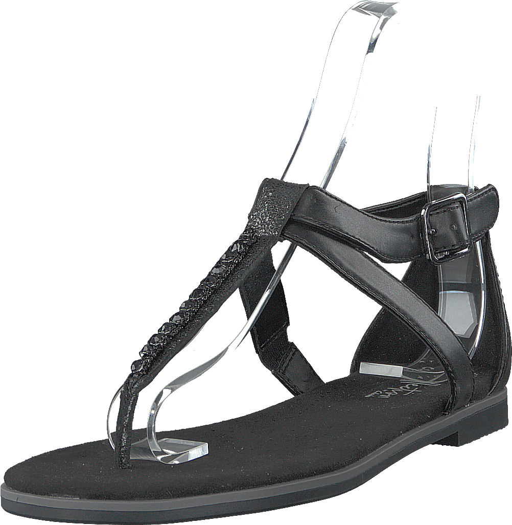 Intérêt pour le pavot noir