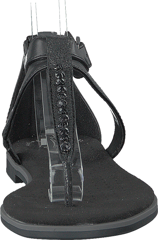 Intérêt pour le pavot noir