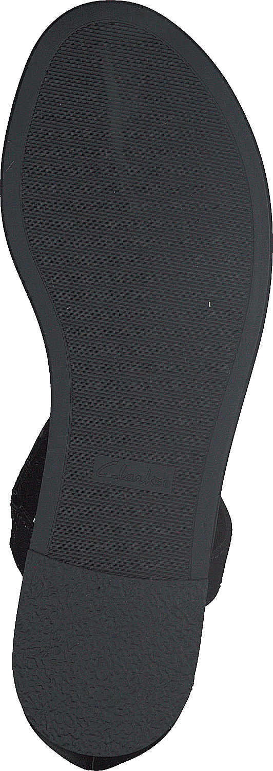 Intérêt pour le pavot noir