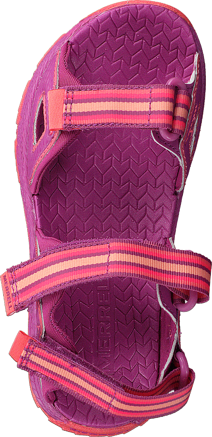 Hydro Blaze Violet/corail