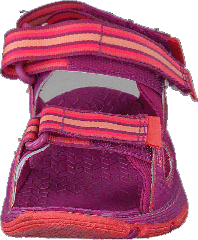 Hydro Blaze Violet/corail