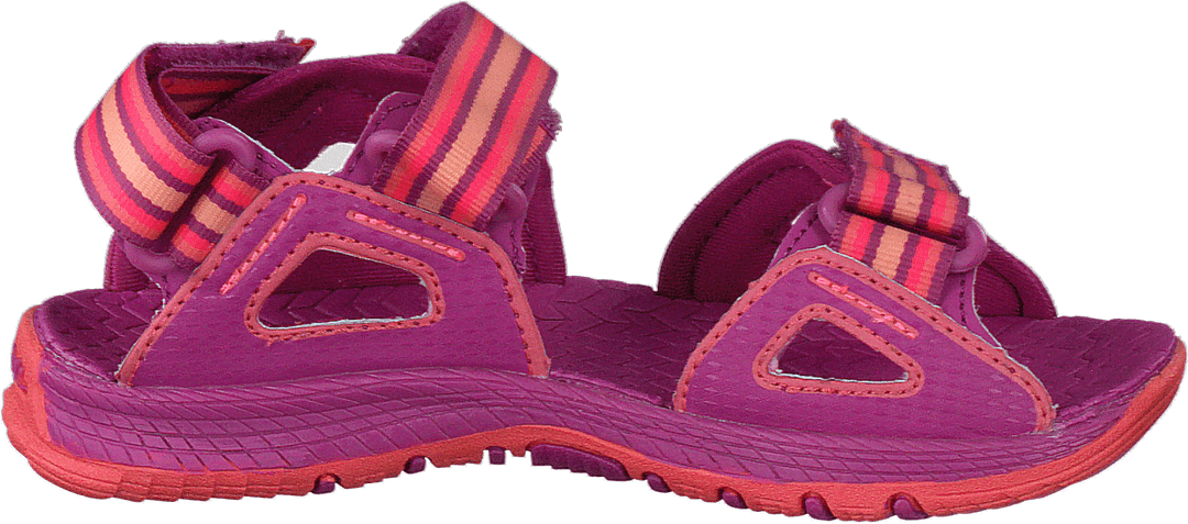 Hydro Blaze Violet/corail