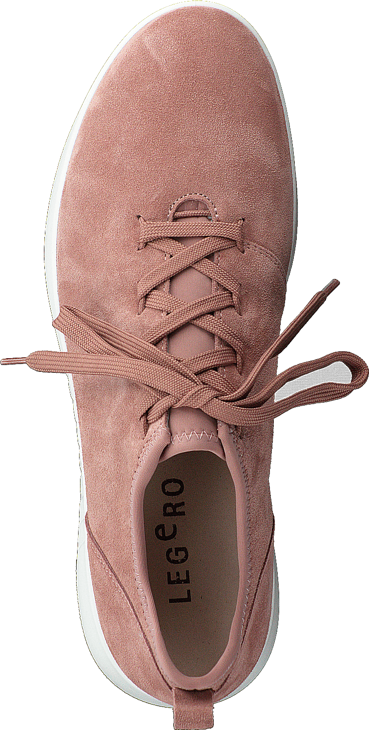 Essence de rose cendrée (rose)