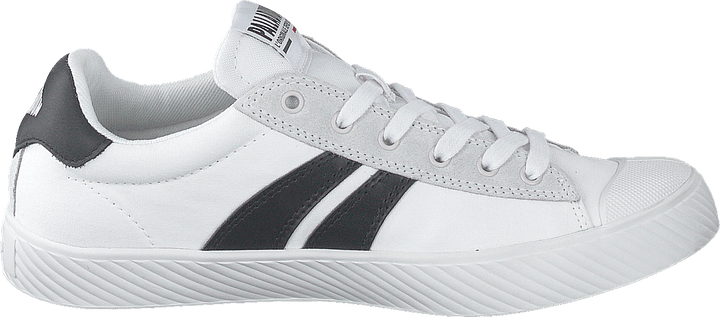 Pallaphoenix Flamme Blanche