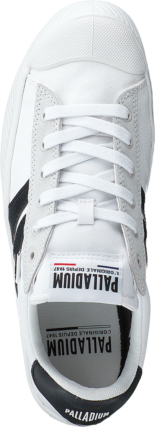 Pallaphoenix Flamme Blanche