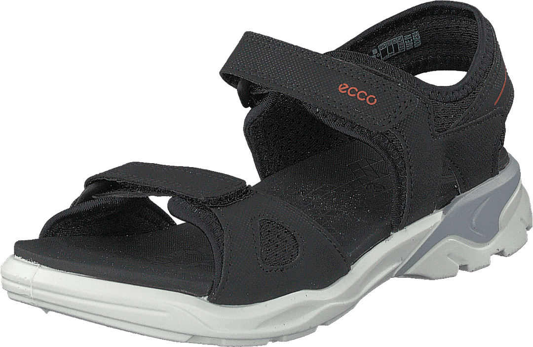 Biom Raft Noir