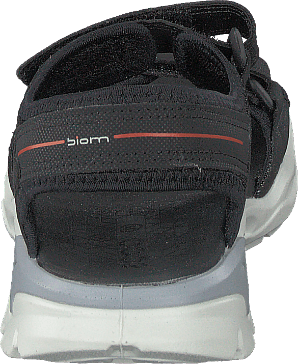 Biom Raft Noir