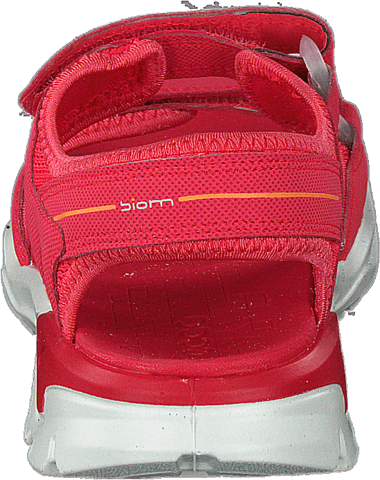 Biom Vlotter Theebes