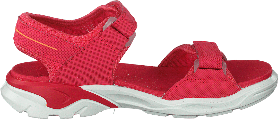 Biom Vlotter Theebes