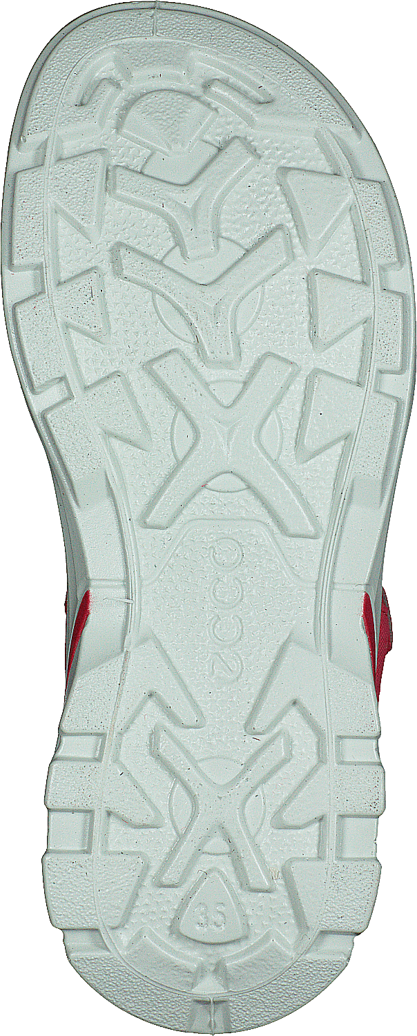 Biom Vlotter Theebes