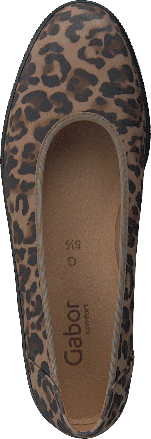 36 400 91 Luchs Savanne