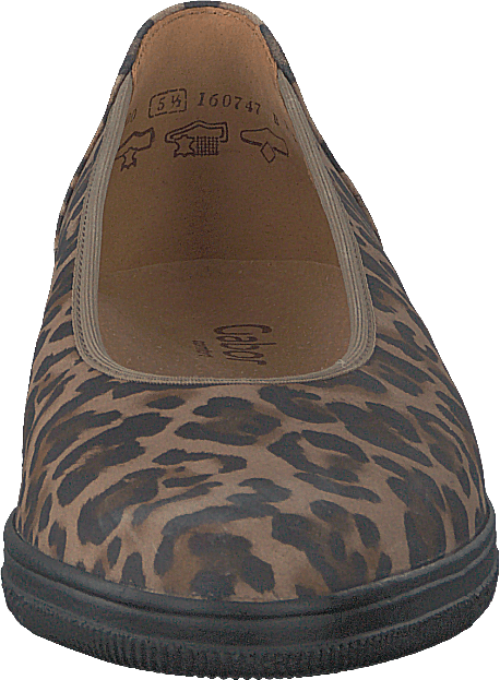 36 400 91 Luchs Savanne