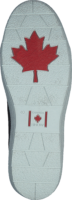 Mont Baker à lacets noirs