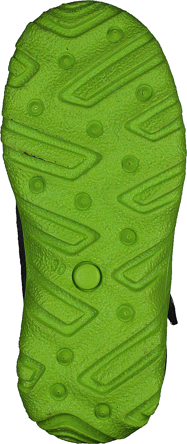 Husky Océan/vert