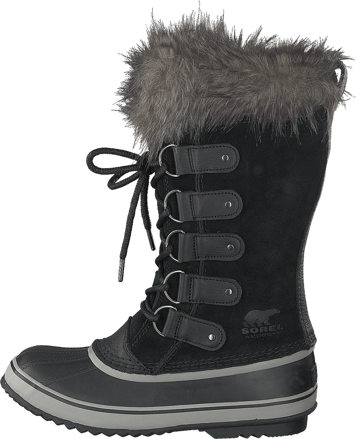 Joan Of Artic Black Quarry