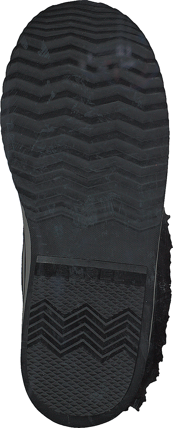 Joan Of Artic Black Quarry