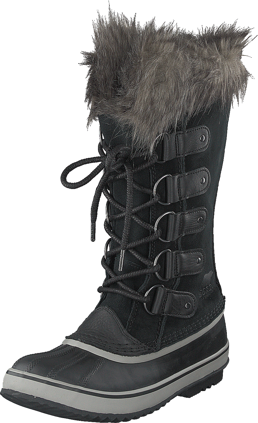 Joan Of Artic Black Quarry