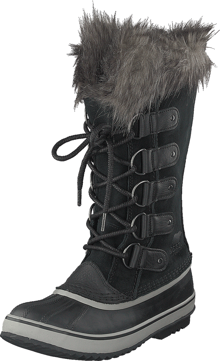 Joan Of Artic Black Quarry