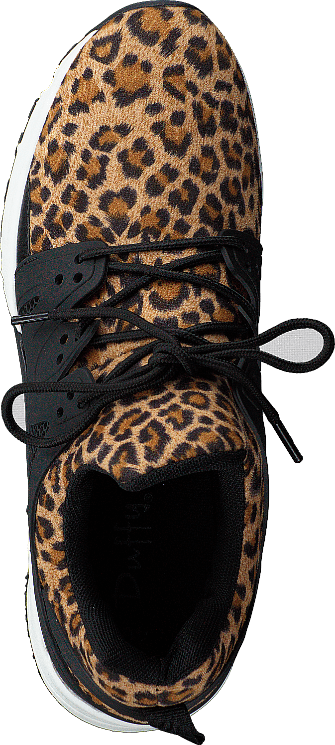 97-00798 Marron Multi