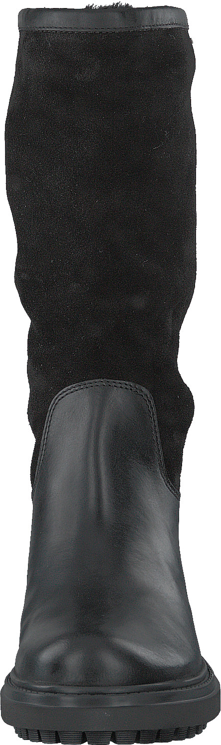 D Asheely Np Abx Black
