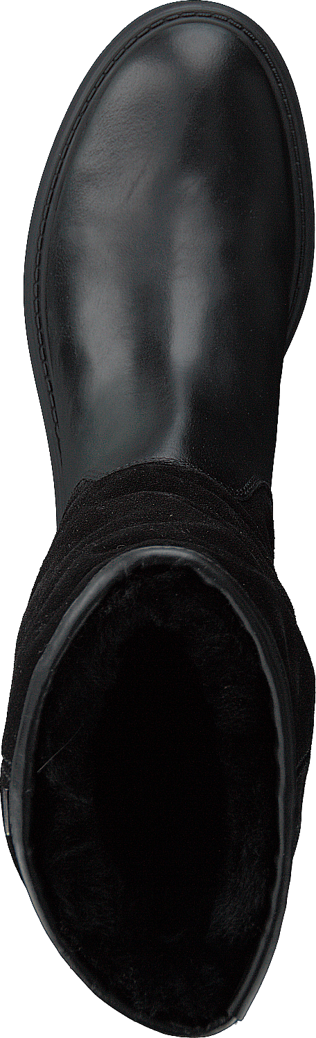 D Asheely Np Abx Black