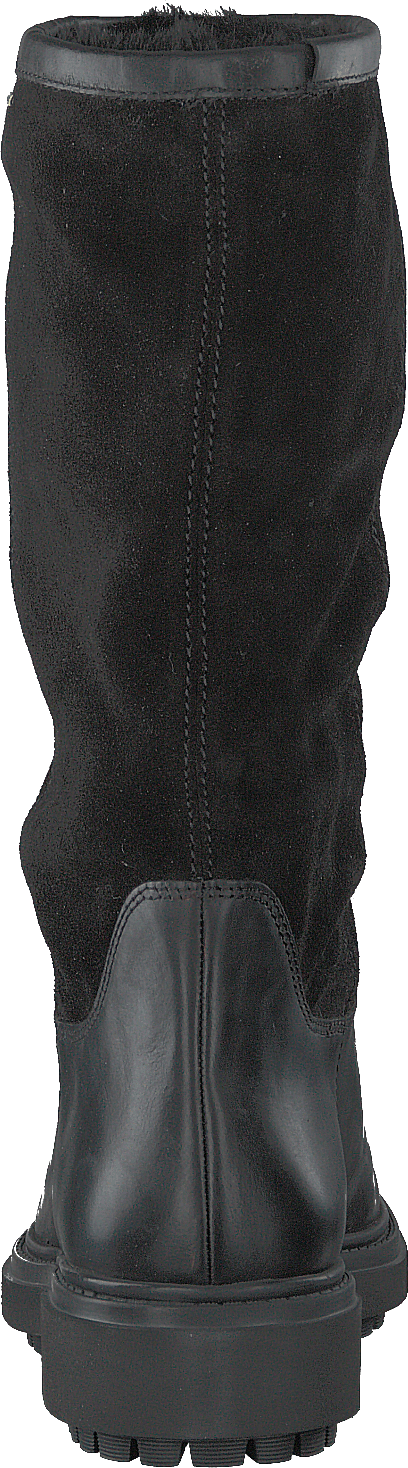 D Asheely Np Abx Black