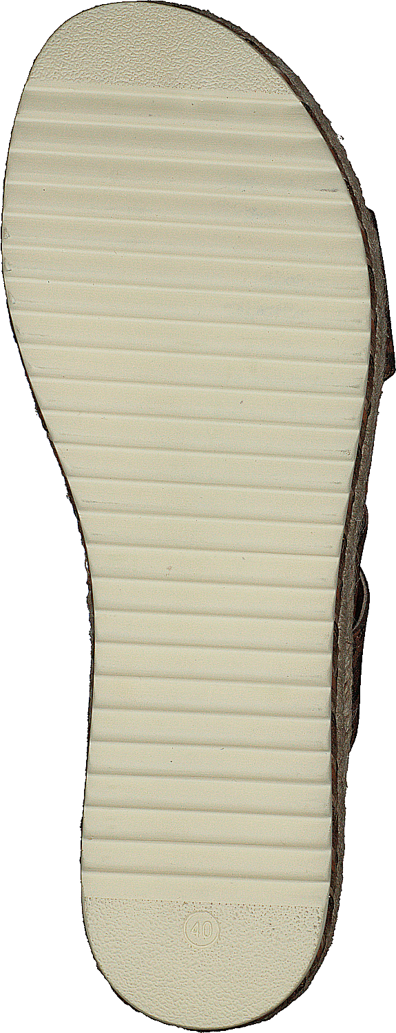 886032f1t_ttan Tann/leo