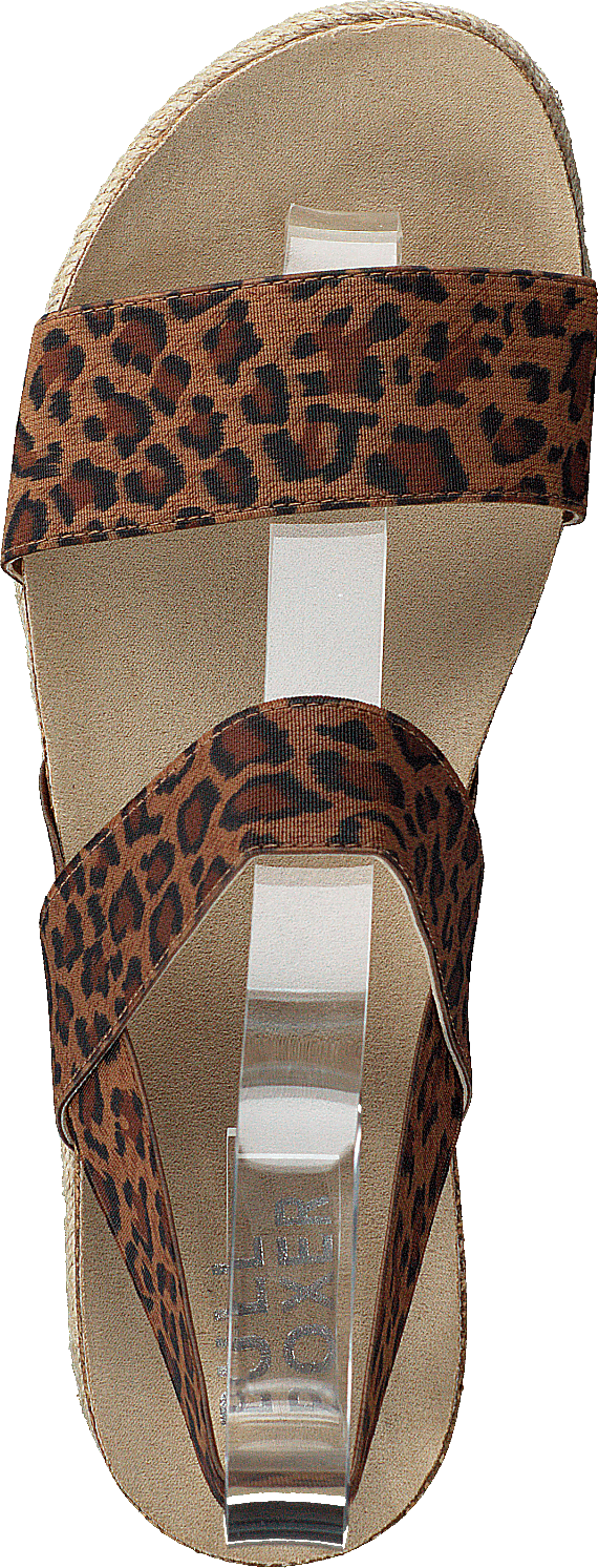 886032f1t_ttan Tann/leo