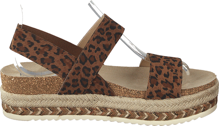 886032f1t_ttan Tann/leo