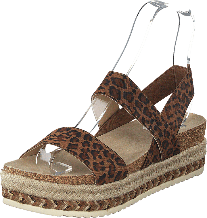 886032f1t_ttan Tann/leo